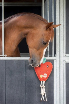 QHP Paardenspeelgoed Appel kopen? - verkrijgbaar QHP Paardenspeelgoed Appel kopen? - verkrijgbaar