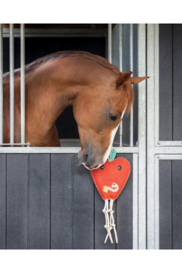 QHP Paardenspeelgoed Appel kopen? - verkrijgbaar QHP Paardenspeelgoed Appel kopen? - verkrijgbaar