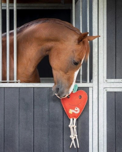 QHP Paardenspeelgoed Appel kopen? - verkrijgbaar QHP Paardenspeelgoed Appel kopen? - verkrijgbaar