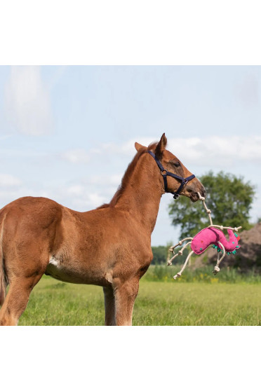 QHP Paardenspeelgoed Unicorn kopen? - verkrijgbaar QHP Paardenspeelgoed Unicorn kopen? - verkrijgbaar