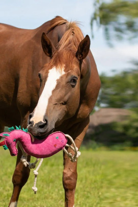 QHP Horse Toy Unicorn buy? - available