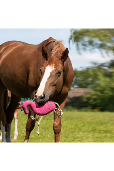 QHP Paardenspeelgoed Unicorn kopen? - verkrijgbaar QHP Paardenspeelgoed Unicorn kopen? - verkrijgbaar