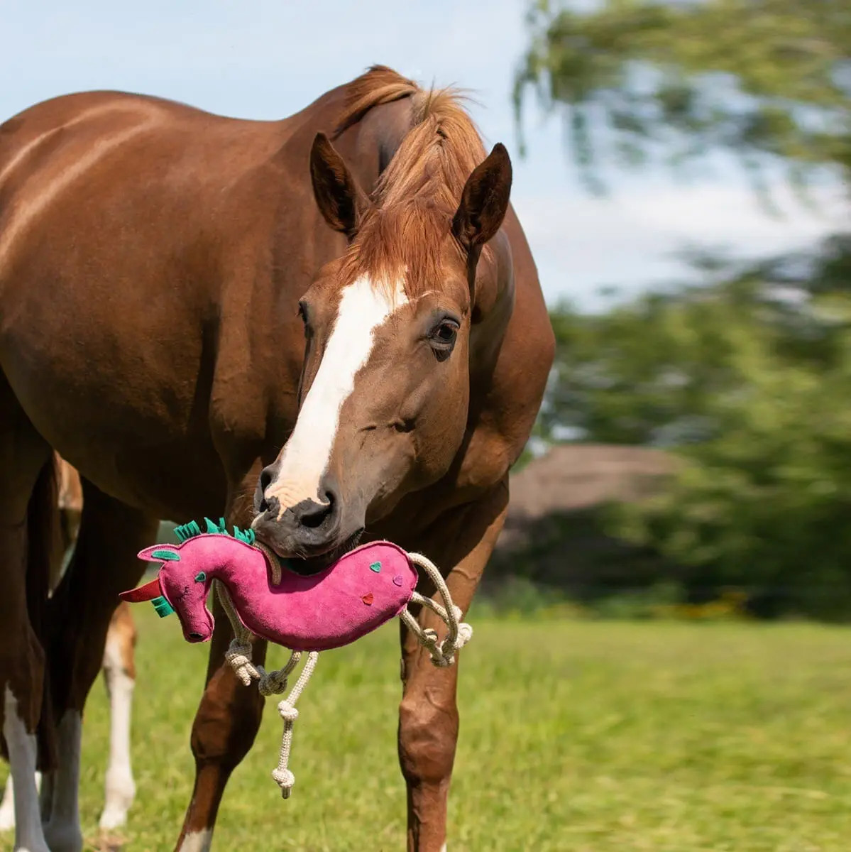 QHP Horse Toy Unicorn buy? - available QHP Horse Toy Unicorn buy? - available
