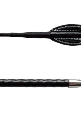 QHP Jumping Whip Comfort 65cm buy? - available