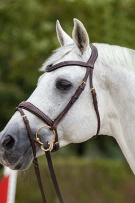 Passier Bridle No Limits Jumping buy? - available