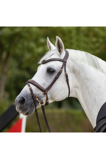 Passier Bridle No Limits Jumping buy? - available