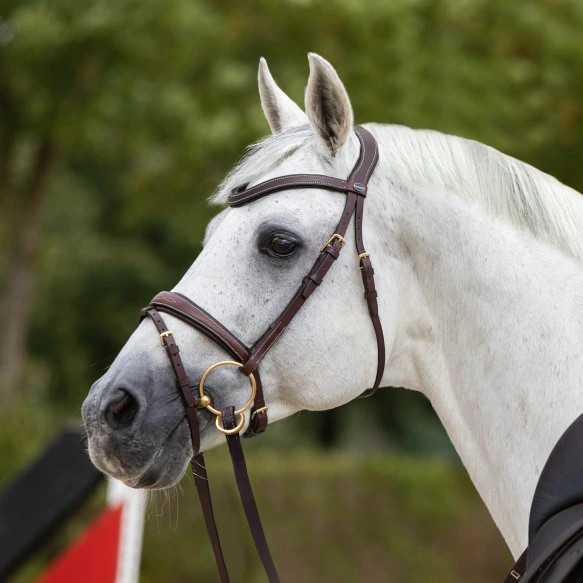 Passier Bridle No Limits Jumping buy? - available