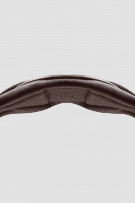 Passier Bridle No Limits Jumping buy? - available