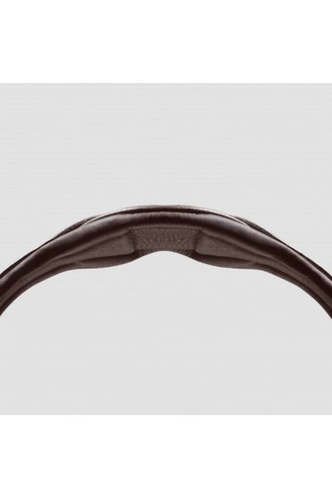 Passier Bridle No Limits Jumping buy? - available