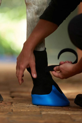 Tubbease Hoefschoenen Blauw kopen? - verkrijgbaar Tubbease Hoefschoenen Blauw kopen? - verkrijgbaar