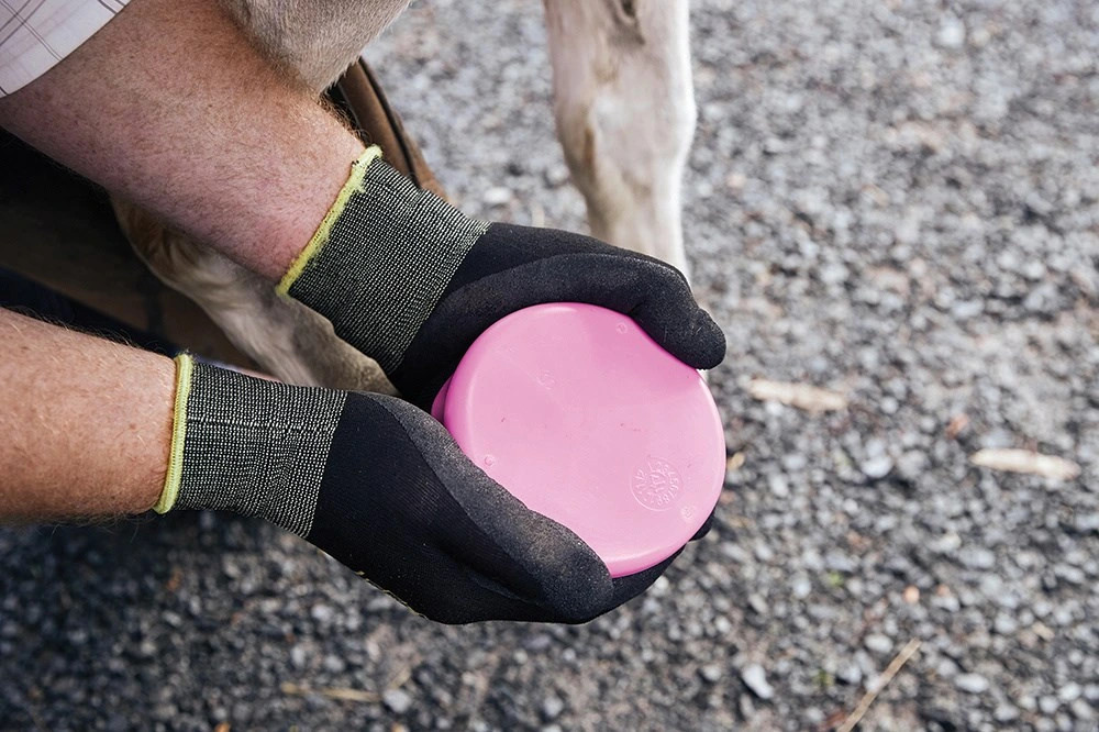 Tubbease Hoefschoenen Roze kopen? - verkrijgbaar Tubbease Hoefschoenen Roze kopen? - verkrijgbaar