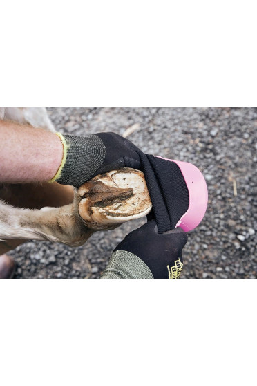 Tubbease Hoefschoenen Roze kopen? - verkrijgbaar Tubbease Hoefschoenen Roze kopen? - verkrijgbaar