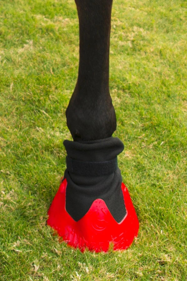 Tubbease Hoof Shoes Red buy? - available Tubbease Hoof Shoes Red buy? - available
