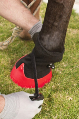 Tubbease Hoof Shoes Red buy? - available Tubbease Hoof Shoes Red buy? - available