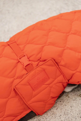Kentucky gevoerde Hondenjas Winter Pina - Oranje. Je hond lekker warm? Kentucky gevoerde Hondenjas Winter Pina - Oranje. Je hond lekker warm?