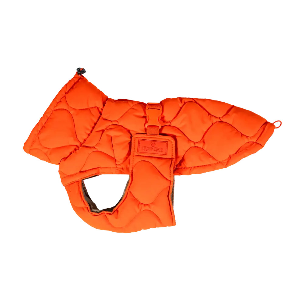 Kentucky gevoerde Hondenjas Winter Pina - Oranje. Je hond lekker warm? Kentucky gevoerde Hondenjas Winter Pina - Oranje. Je hond lekker warm?