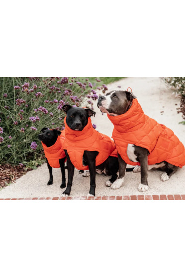 Kentucky gevoerde Hondenjas Winter Pina - Oranje. Je hond lekker warm? Kentucky gevoerde Hondenjas Winter Pina - Oranje. Je hond lekker warm?
