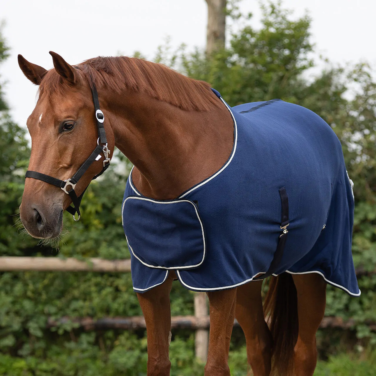 QHP Fleecedeken Ornament Navy kopen? - verkrijgbaar QHP Fleecedeken Ornament Navy kopen? - verkrijgbaar