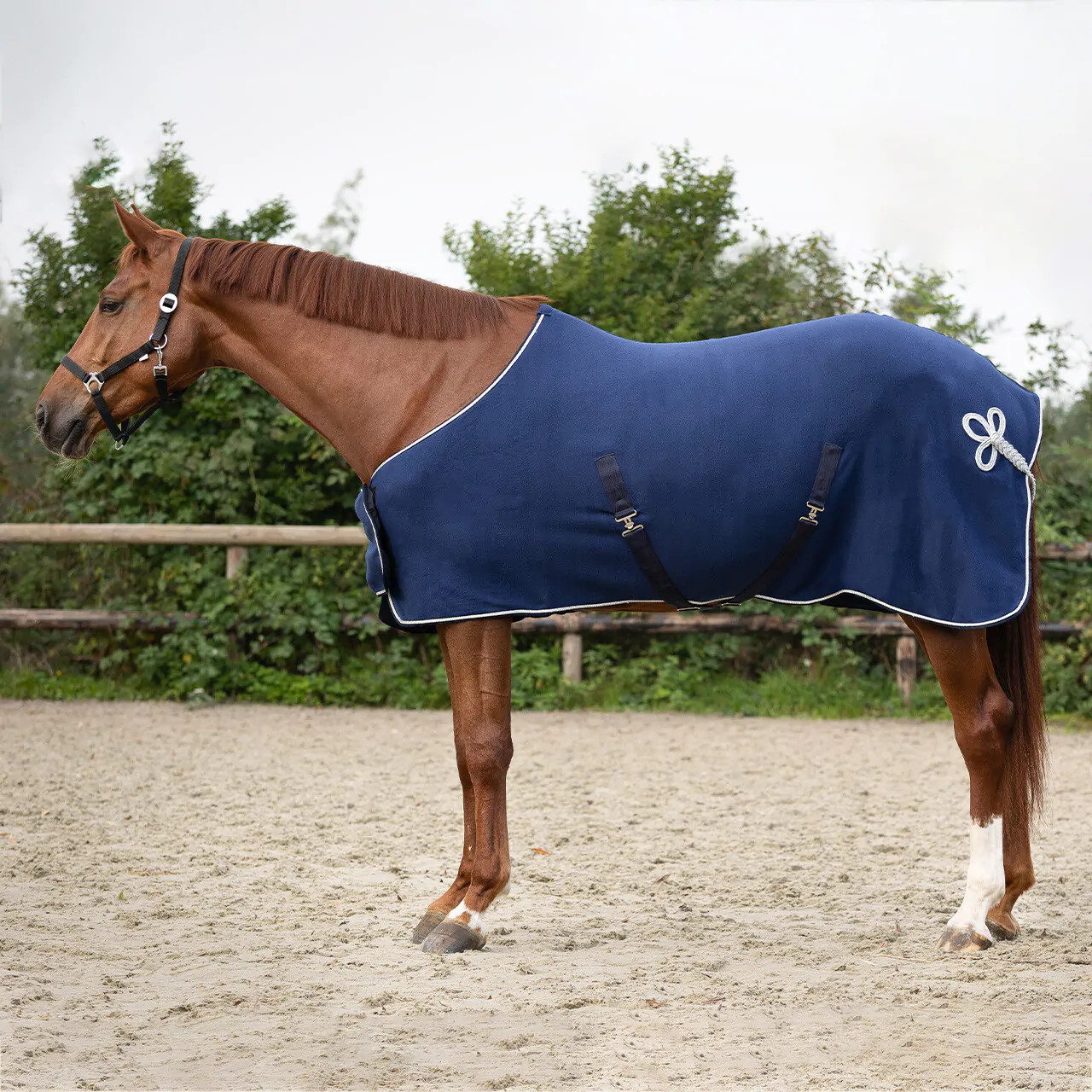 QHP Fleecedeken Ornament Navy kopen? - verkrijgbaar QHP Fleecedeken Ornament Navy kopen? - verkrijgbaar