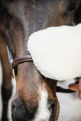 Sheepskin Grooming Glove Kentucky Horsewear Sheepskin Grooming Glove Kentucky Horsewear