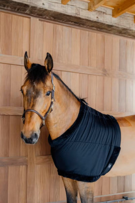 Ridershouse QHP Borstbeschermer Lycra Ridershouse QHP Borstbeschermer Lycra
