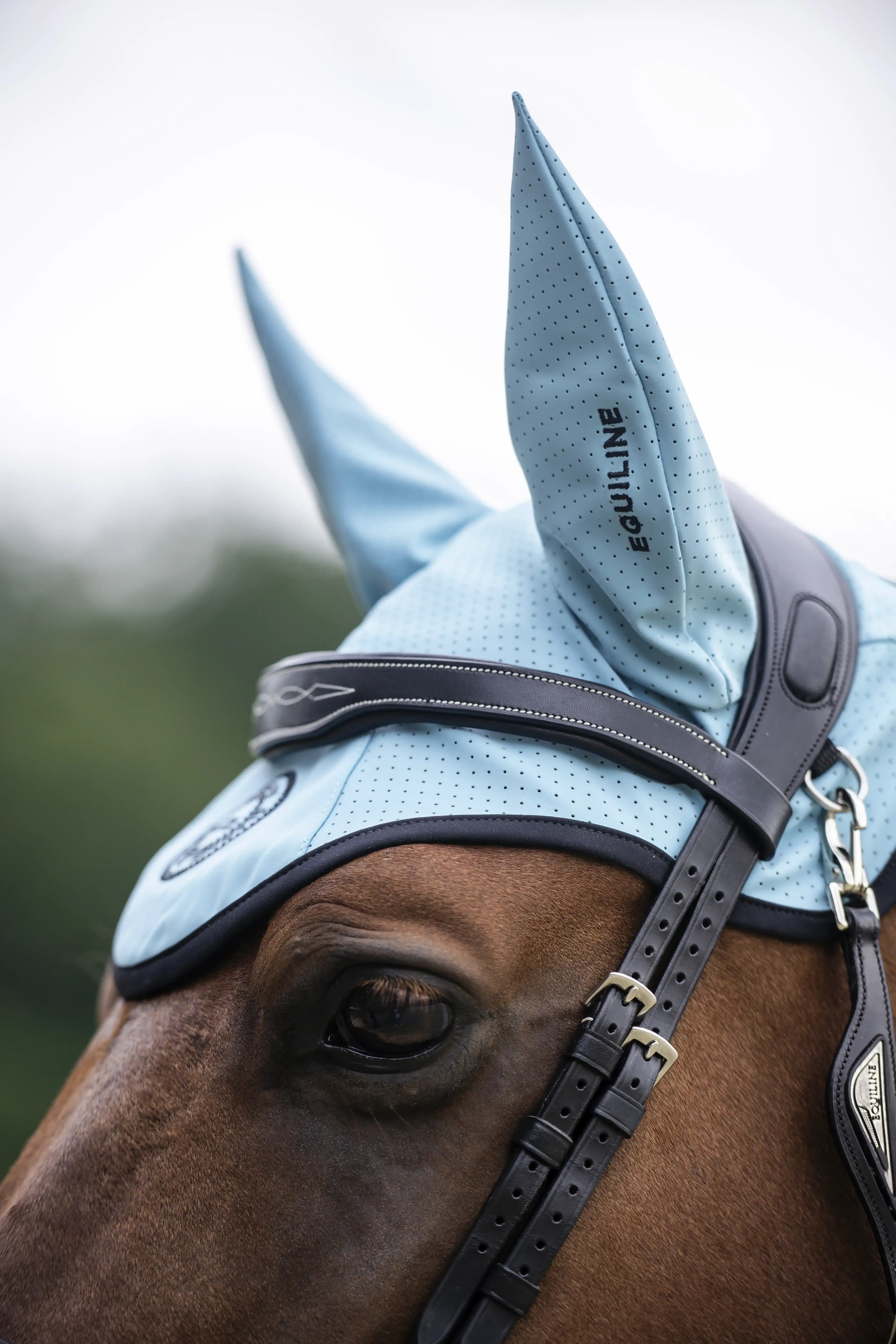 Equiline Grasmig Glamour Oornetje Perforated - Aquarel Blauw Equiline Grasmig Glamour Oornetje Perforated - Aquarel Blauw