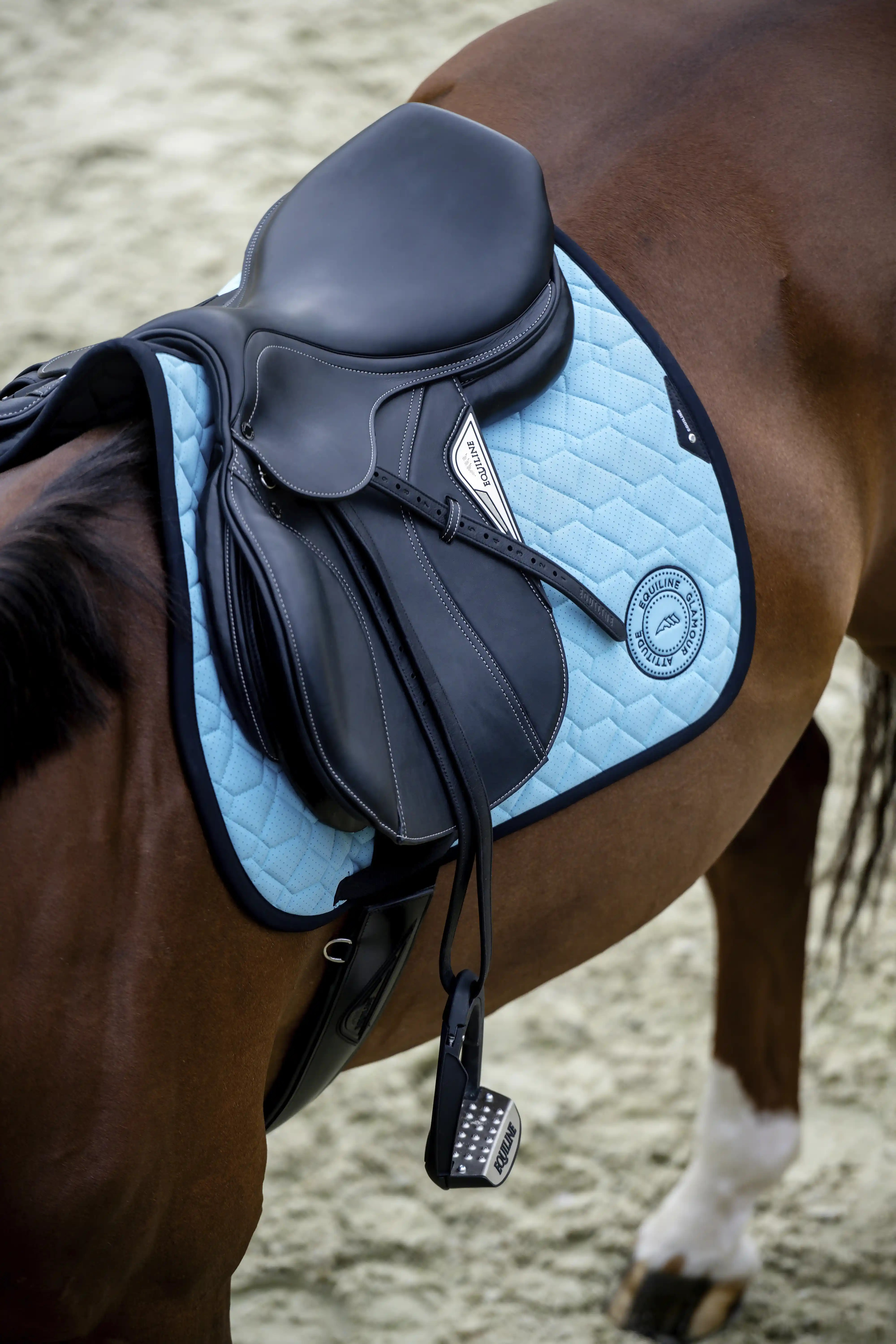 Equiline Grasmig Saddle Pad buy? - available