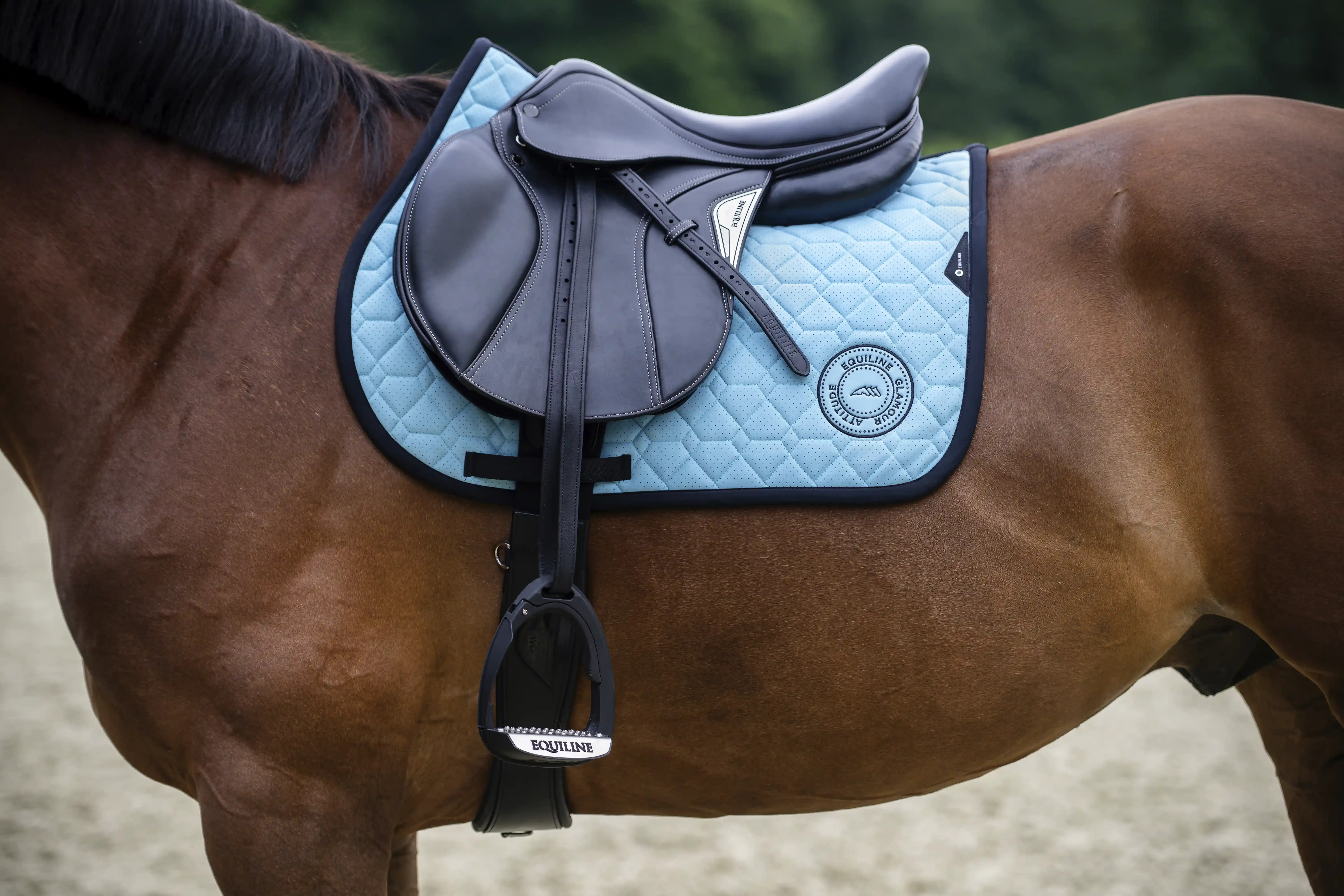 Equiline Grasmig Zadeldekje kopen? - verkrijgbaar