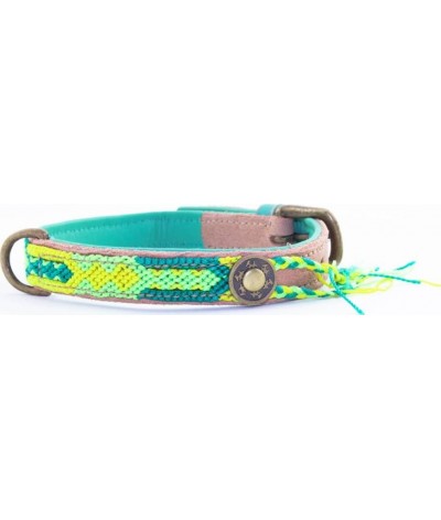 Dog With A Mission Collar Cactus 0.79 INCH