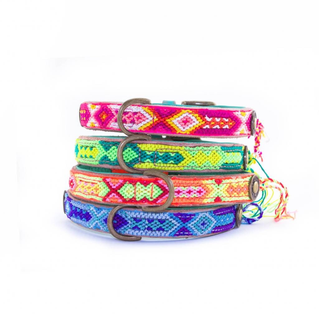 Dog With A Mission Halsband Cactus 2 CM Dog With A Mission Halsband Cactus 2 CM