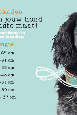 Dog With A Mission Halsband Cactus 2 CM Dog With A Mission Halsband Cactus 2 CM