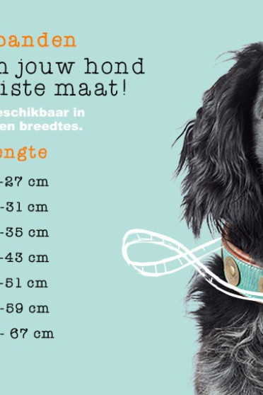 Dog With A Mission Halsband Cactus 2 CM Dog With A Mission Halsband Cactus 2 CM