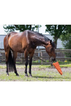 QHP Paardenspeelgoed Wortel XL, super leuk voor uw paard om mee te spelen