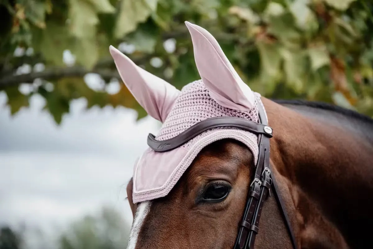 Kentucky Horsewear Oornetje Wellington Velvet | Oud Roze Kentucky Horsewear Oornetje Wellington Velvet | Oud Roze