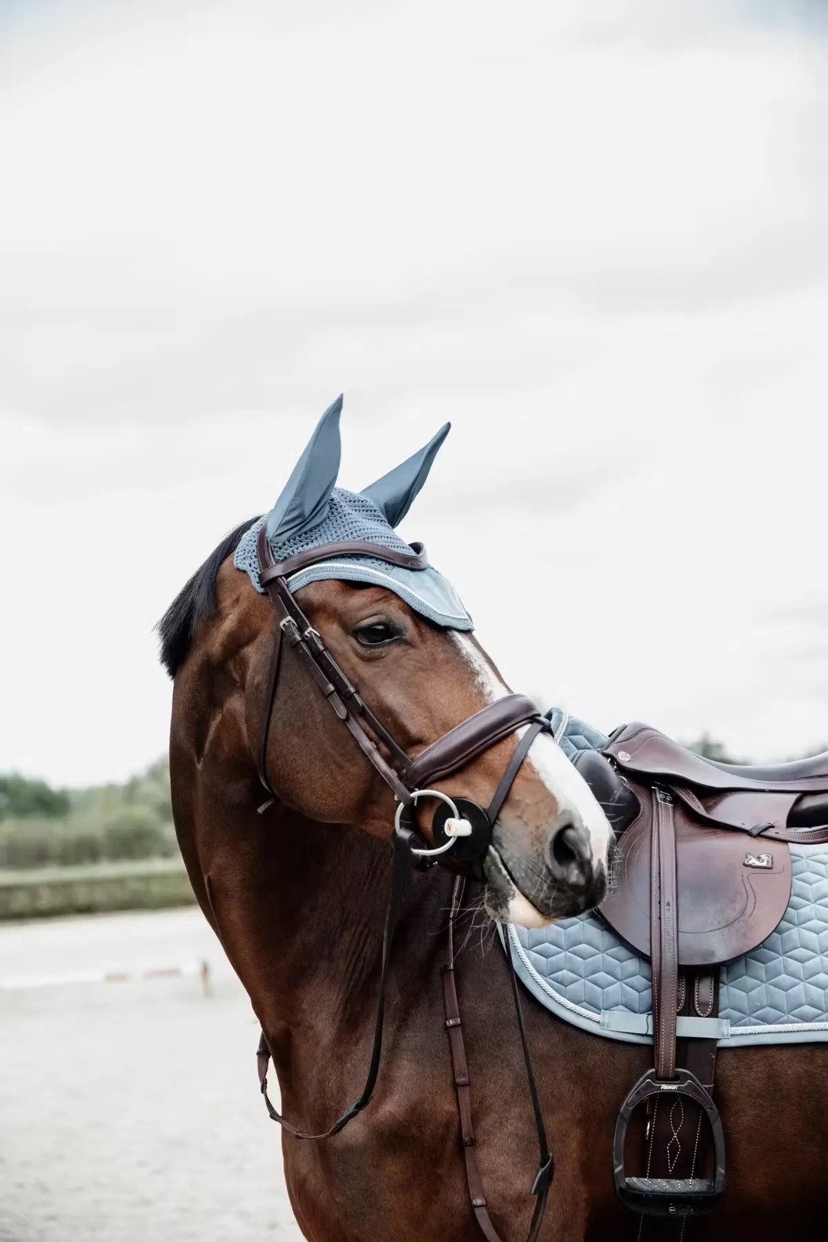 Kentucky Horsewear Oornetje Wellington Velvet | Licht Blauw Kentucky Horsewear Oornetje Wellington Velvet | Licht Blauw