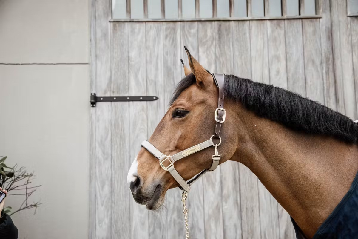 Kentucky Horsewear Nylon Gevlochten Halster Beige, ook leverbaar in 7 andere kleuren Kentucky Horsewear Nylon Gevlochten Halster Beige, ook leverbaar in 7 andere kleuren