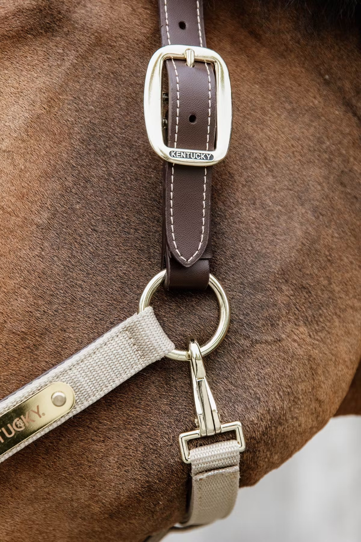 Kentucky Horsewear Nylon Gevlochten Halster Beige, ook leverbaar in 7 andere kleuren Kentucky Horsewear Nylon Gevlochten Halster Beige, ook leverbaar in 7 andere kleuren