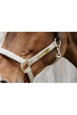 Kentucky Horsewear Plaited Nylon Halter Beige, also Avaible in more colors Kentucky Horsewear Plaited Nylon Halter Beige, also Avaible in more colors
