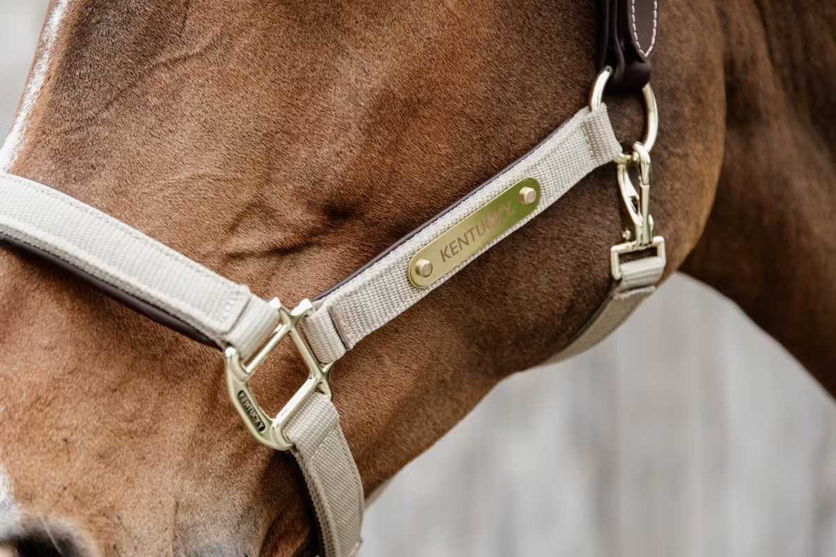 Kentucky Horsewear Nylon Gevlochten Halster Beige, ook leverbaar in 7 andere kleuren Kentucky Horsewear Nylon Gevlochten Halster Beige, ook leverbaar in 7 andere kleuren