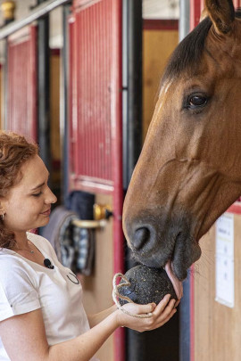 Unika Herbs Ball - Aanvullend diervoeder gevoelige maag paard