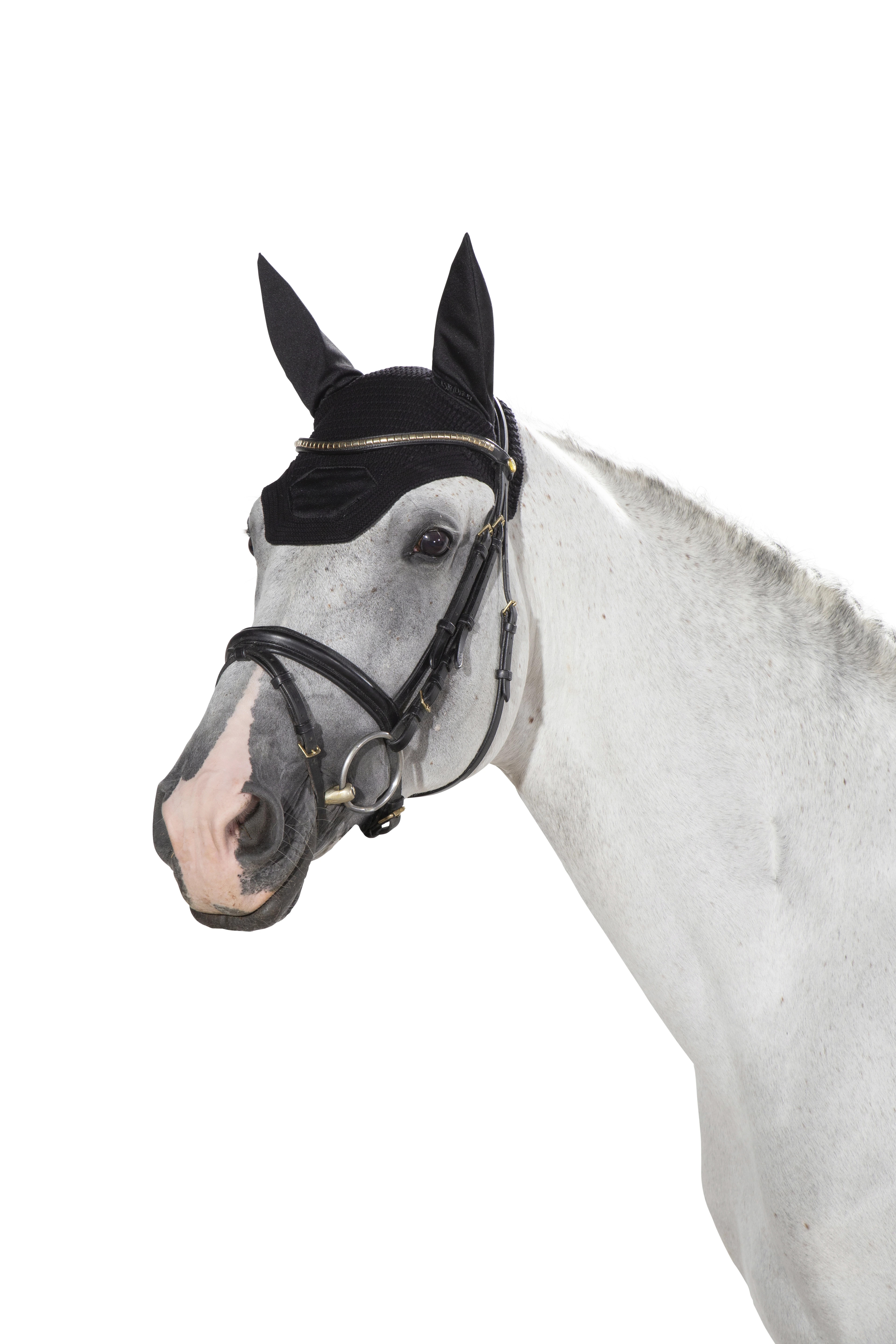 Eskadron Earnet Soundless Navy Buy? - available Eskadron Earnet Soundless Navy Buy? - available