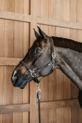 Plaited Halter 'Dyon Collection' Ridershouse