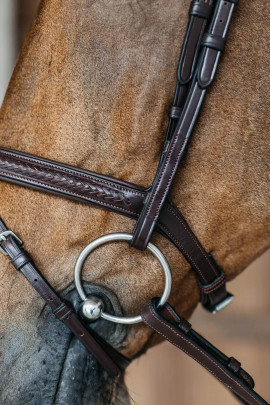 Dyon plaited bridle kopen? - verkrijgbaar