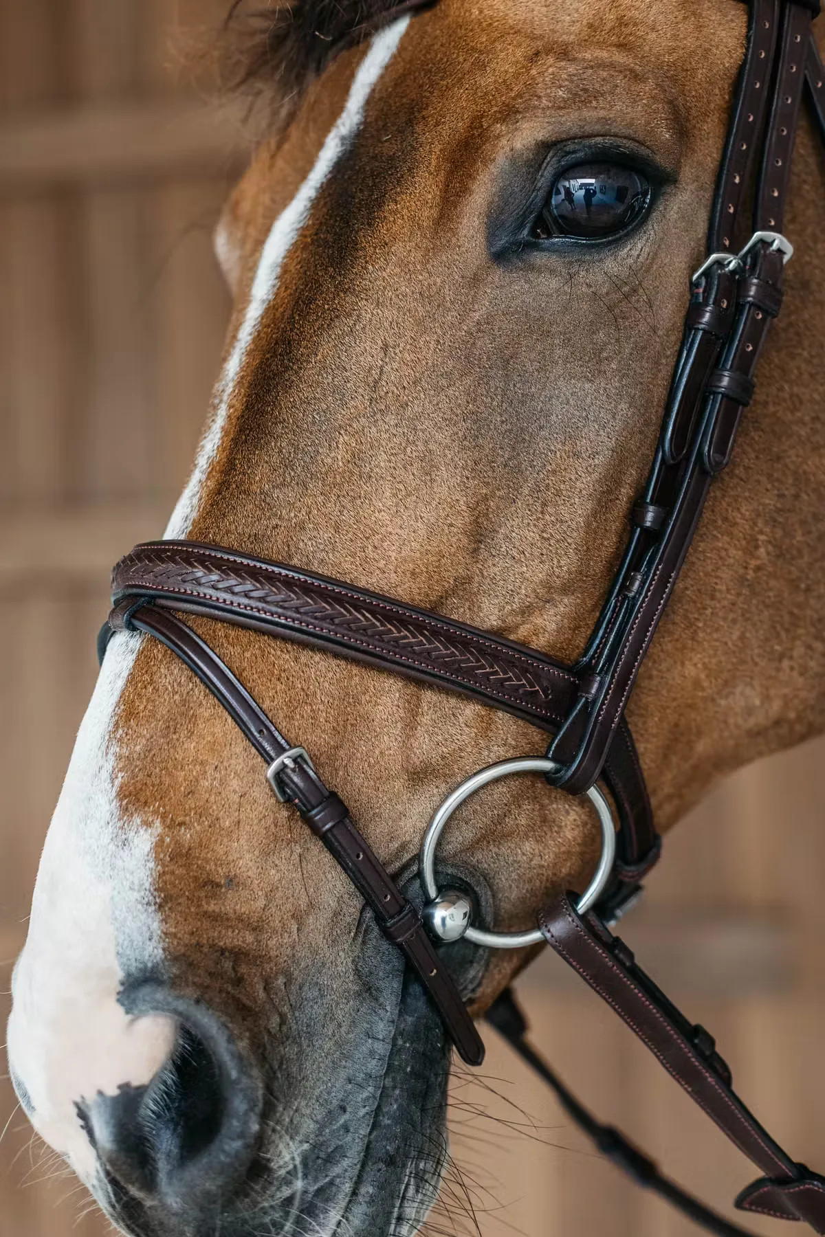 Dyon plaited bridle kopen? - verkrijgbaar Dyon plaited bridle kopen? - verkrijgbaar