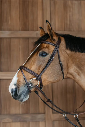 Dyon plaited bridle kopen? - verkrijgbaar Dyon plaited bridle kopen? - verkrijgbaar
