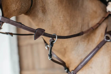 Dyon Rubberen Teugels Met Gewoven Afwerking Ridershouse Dyon Rubberen Teugels Met Gewoven Afwerking Ridershouse