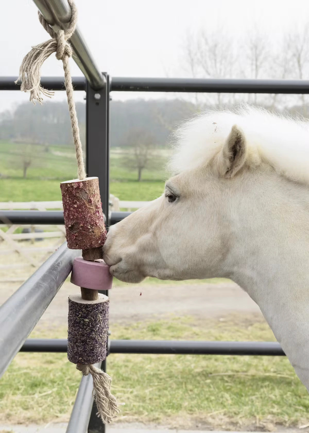 Grooming Deluxe Relax Horse Toy Airways kopen? - verkrijgbaar Grooming Deluxe Relax Horse Toy Airways kopen? - verkrijgbaar