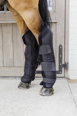 Kentucky Horsewear Protect Stalbeschermers kopen? - verkrijgbaar