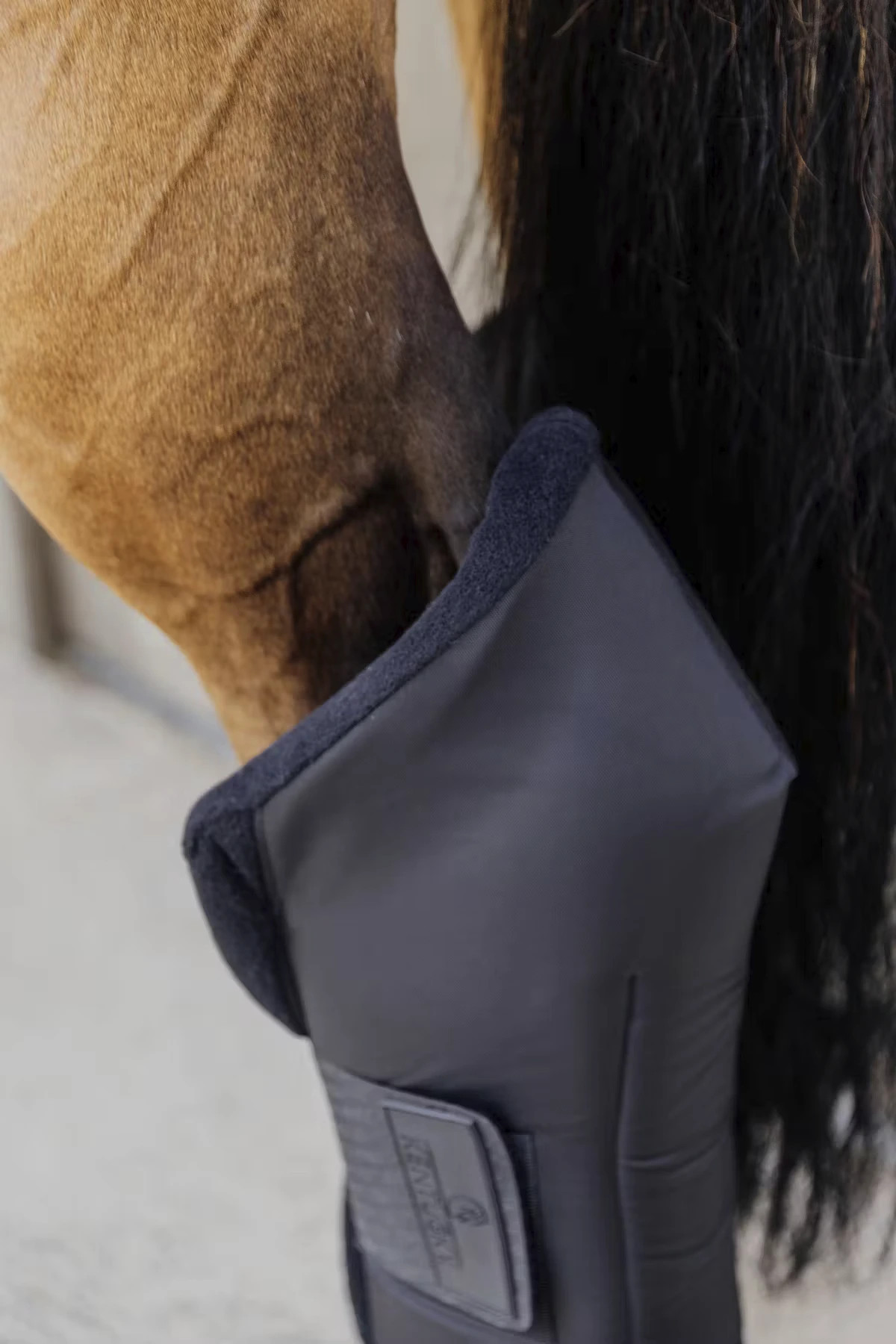 Kentucky Horsewear Protect Stable Boots buy? - available Kentucky Horsewear Protect Stable Boots buy? - available