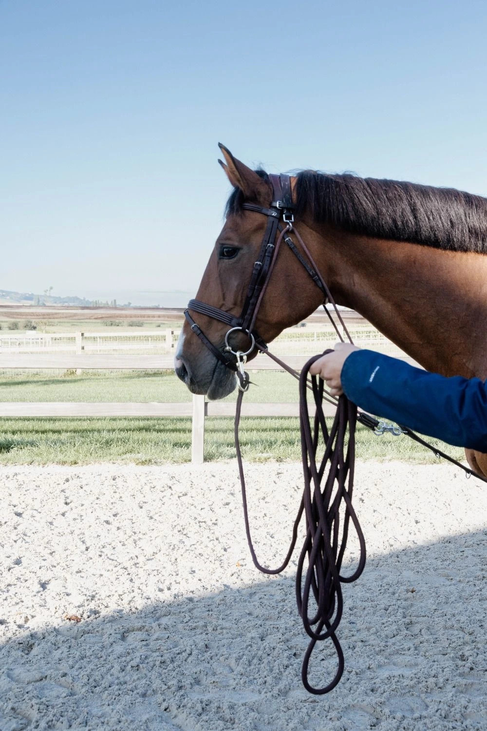 Kentucky Horsewear Lunge Rope 8M buy? - available Kentucky Horsewear Lunge Rope 8M buy? - available